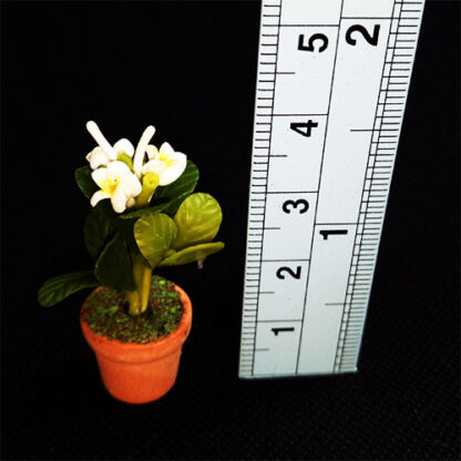 FL7 (mini flower pot)