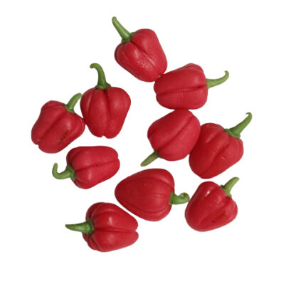 LVEG1 (sweet red peppers-Set of 10 )