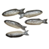 UFS1 (fish-set of 5)