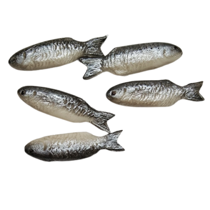 UFS1 (fish-set of 5)